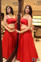 Mannara Chopra at Manepally Jewellers Uncut Diamond Mela Launch